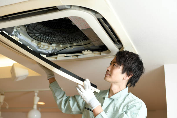 Best Affordable Air Duct Cleaning  in Dassel, MN